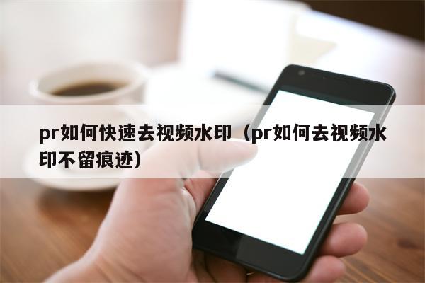 pr如何快速去视频水印（pr如何去视频水印不留痕迹）