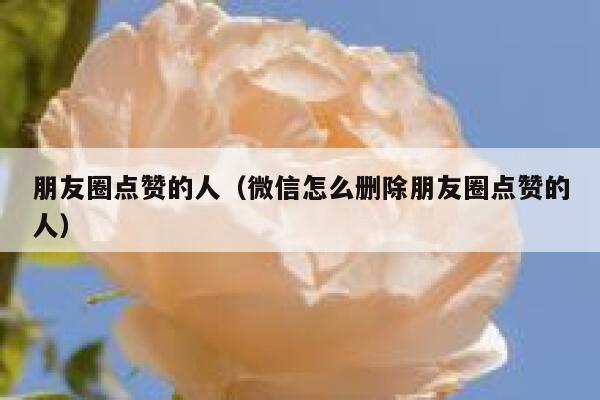 朋友圈点赞的人（微信怎么删除朋友圈点赞的人）