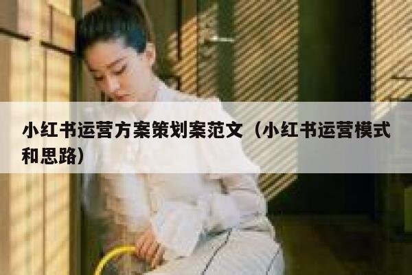 小红书运营方案策划案范文（小红书运营模式和思路）