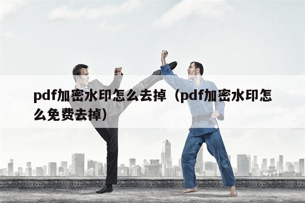 pdf加密水印怎么去掉（pdf加密水印怎么免费去掉）