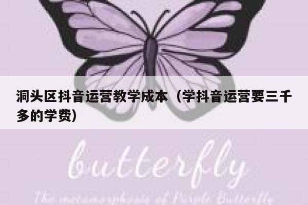 洞头区抖音运营教学成本（学抖音运营要三千多的学费）