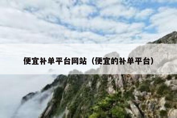 便宜补单平台网站（便宜的补单平台）