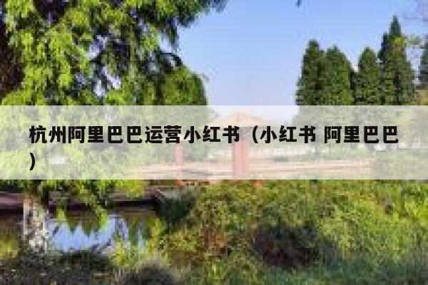 杭州阿里巴巴运营小红书（小红书 阿里巴巴）