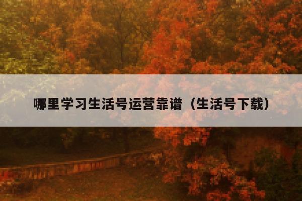 哪里学习生活号运营靠谱（生活号下载）