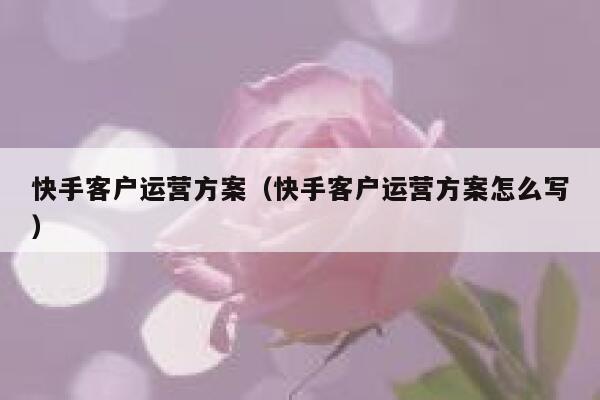 快手客户运营方案（快手客户运营方案怎么写）