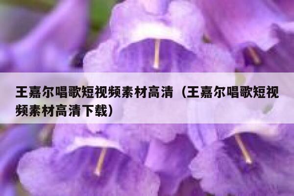 王嘉尔唱歌短视频素材高清（王嘉尔唱歌短视频素材高清下载）