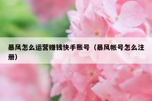 暴风怎么运营赚钱快手账号（暴风帐号怎么注册）