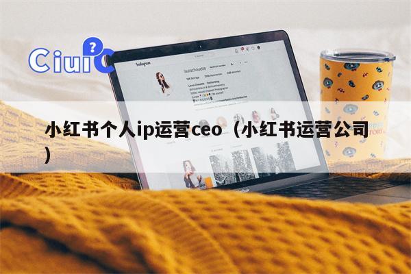 小红书个人ip运营ceo（小红书运营公司）