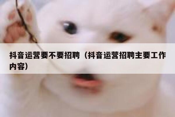 抖音运营要不要招聘（抖音运营招聘主要工作内容）