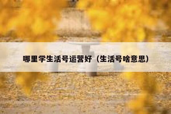 哪里学生活号运营好（生活号啥意思）