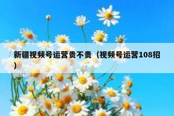 新疆视频号运营贵不贵（视频号运营108招）