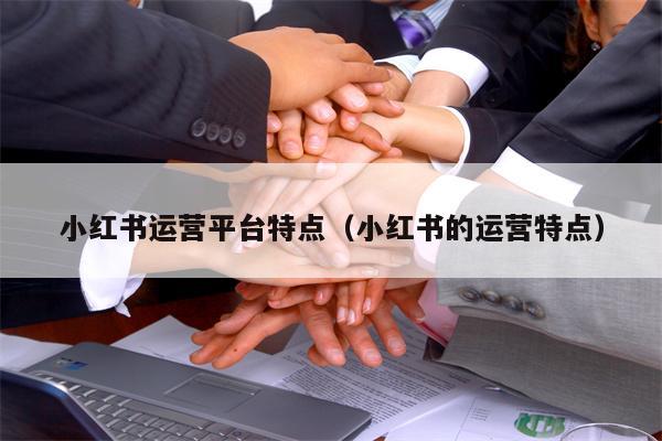 小红书运营平台特点（小红书的运营特点）