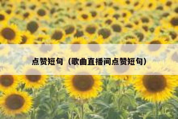 点赞短句（歌曲直播间点赞短句）