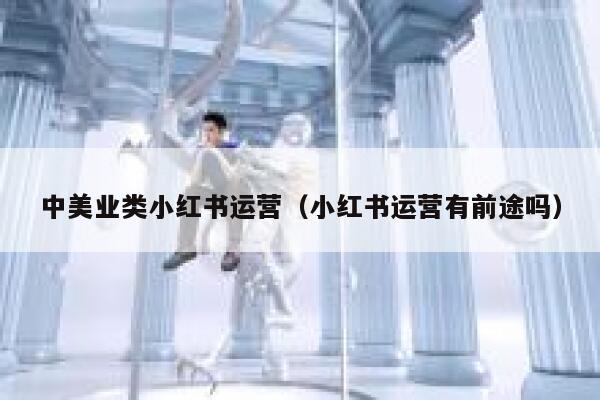 中美业类小红书运营（小红书运营有前途吗）