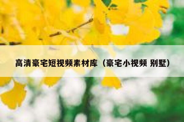 高清豪宅短视频素材库（豪宅小视频 别墅）