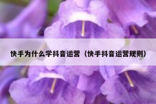 快手为什么学抖音运营（快手抖音运营规则）