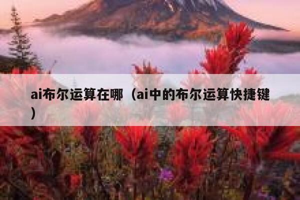 ai布尔运算在哪（ai中的布尔运算快捷键）