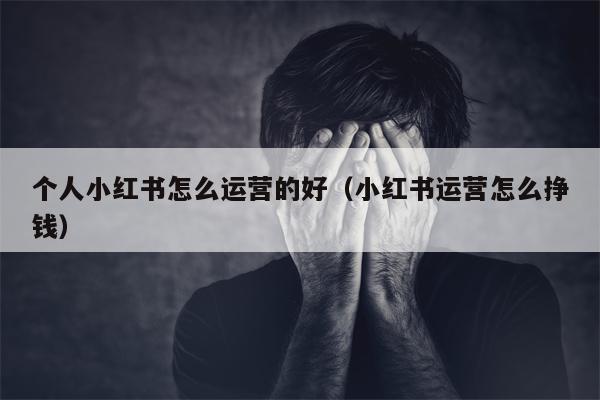 个人小红书怎么运营的好（小红书运营怎么挣钱）