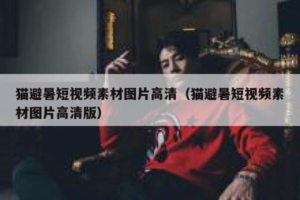 猫避暑短视频素材图片高清（猫避暑短视频素材图片高清版）