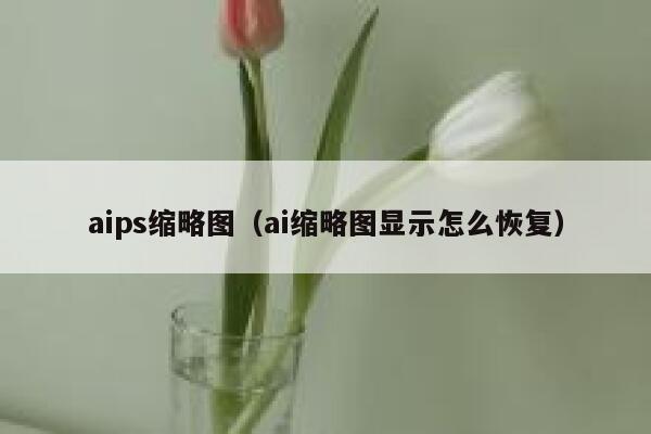 aips缩略图（ai缩略图显示怎么恢复）