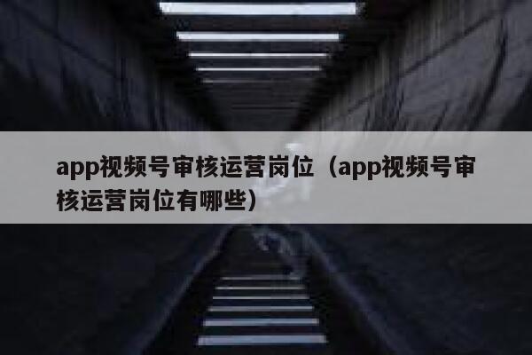 app视频号审核运营岗位（app视频号审核运营岗位有哪些）