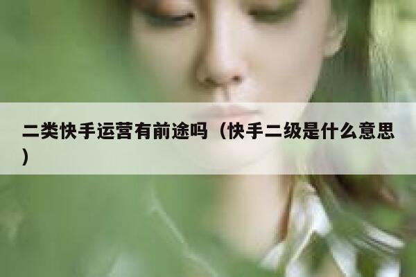 二类快手运营有前途吗（快手二级是什么意思）