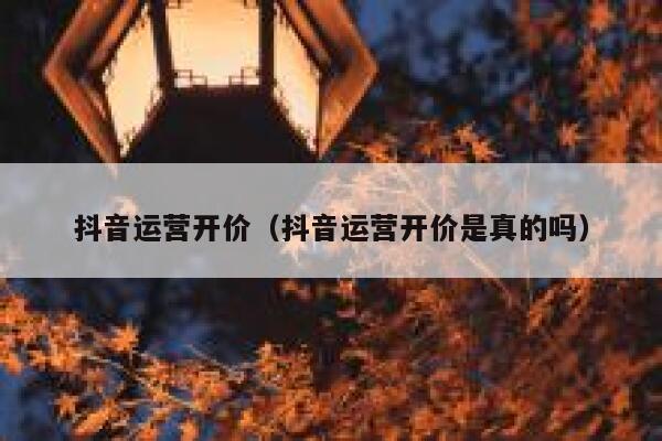 抖音运营开价（抖音运营开价是真的吗）