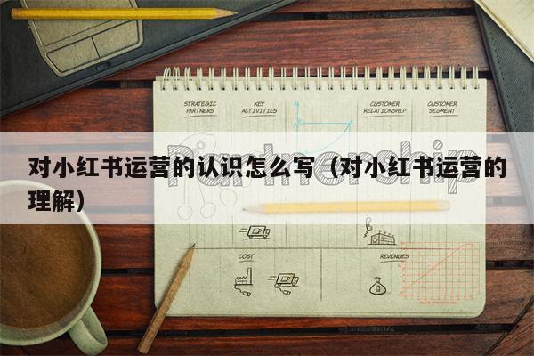 对小红书运营的认识怎么写（对小红书运营的理解）