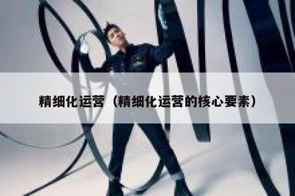 精细化运营（精细化运营的核心要素）
