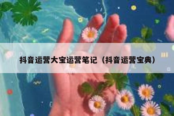 抖音运营大宝运营笔记（抖音运营宝典）