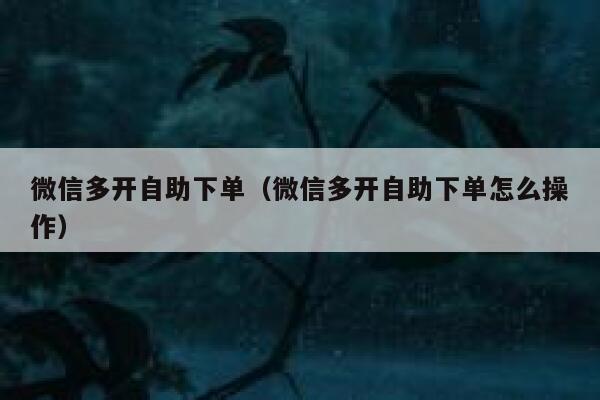 微信多开自助下单（微信多开自助下单怎么操作）