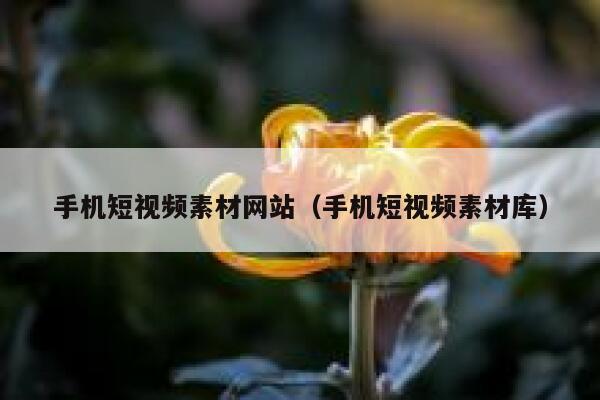 手机短视频素材网站（手机短视频素材库）