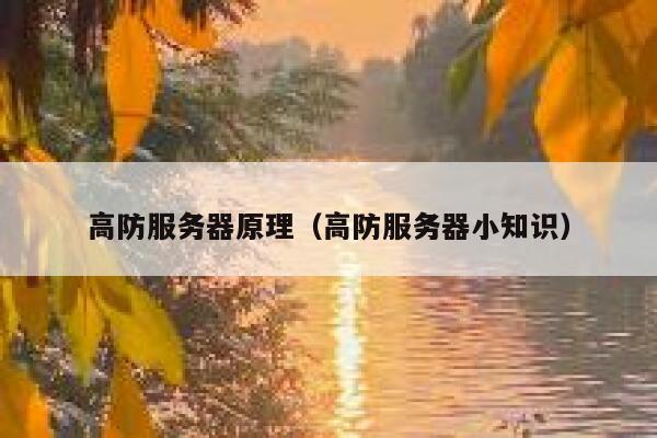 高防服务器原理（高防服务器小知识）