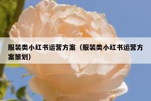 服装类小红书运营方案（服装类小红书运营方案策划）
