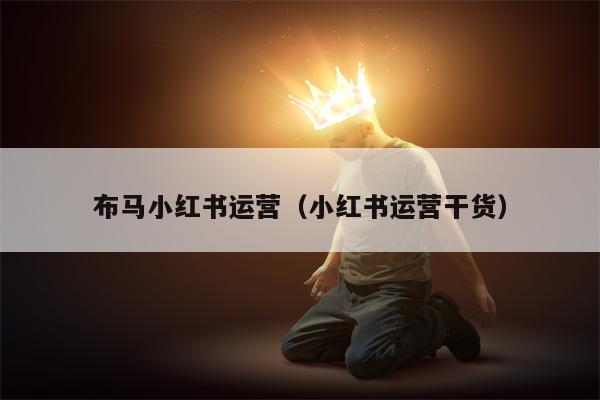 布马小红书运营（小红书运营干货）
