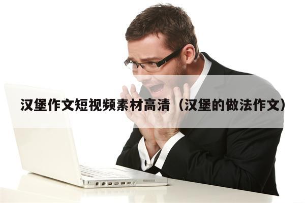 汉堡作文短视频素材高清（汉堡的做法作文）