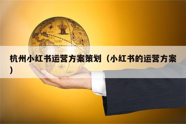 杭州小红书运营方案策划（小红书的运营方案）