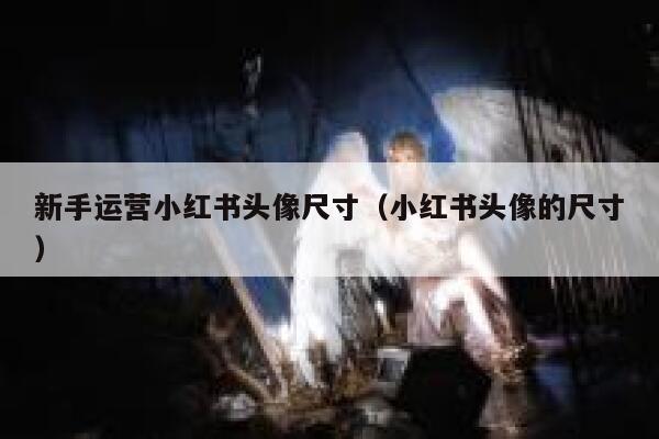 新手运营小红书头像尺寸（小红书头像的尺寸）