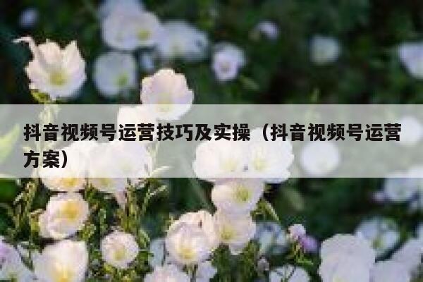 抖音视频号运营技巧及实操（抖音视频号运营方案）