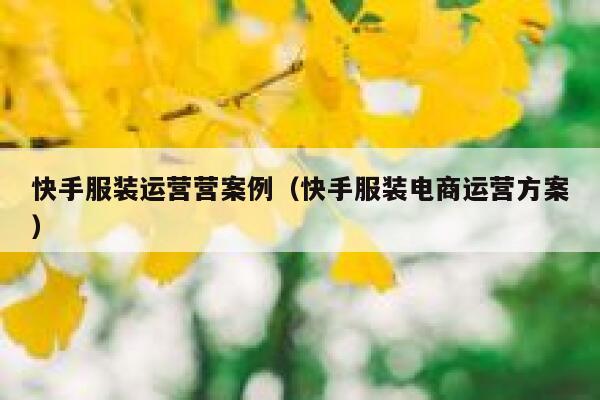 快手服装运营营案例（快手服装电商运营方案）