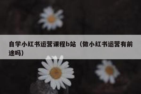 自学小红书运营课程b站（做小红书运营有前途吗）