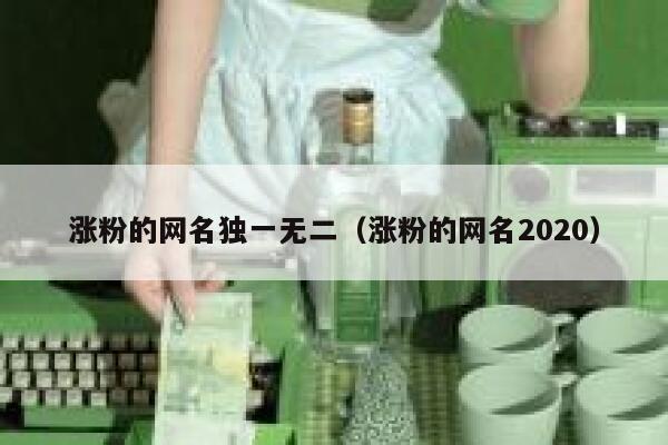 涨粉的网名独一无二（涨粉的网名2020）