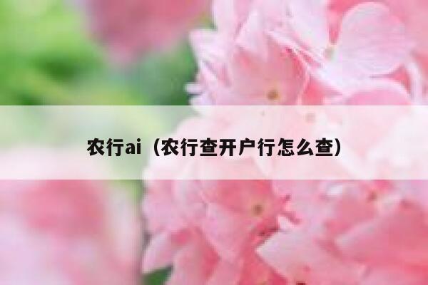 农行ai（农行查开户行怎么查）