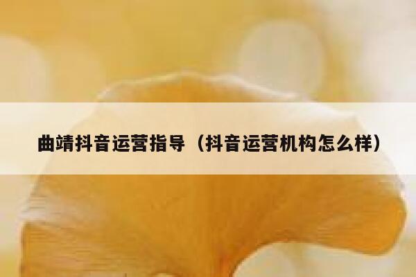 曲靖抖音运营指导（抖音运营机构怎么样）