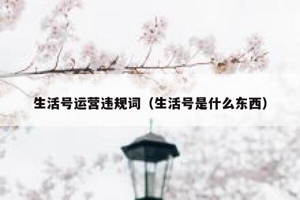 生活号运营违规词（生活号是什么东西）