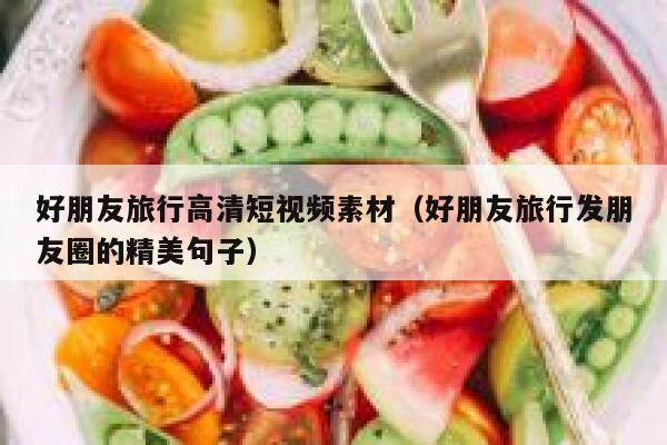 好朋友旅行高清短视频素材（好朋友旅行发朋友圈的精美句子）