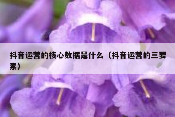 抖音运营的核心数据是什么（抖音运营的三要素）