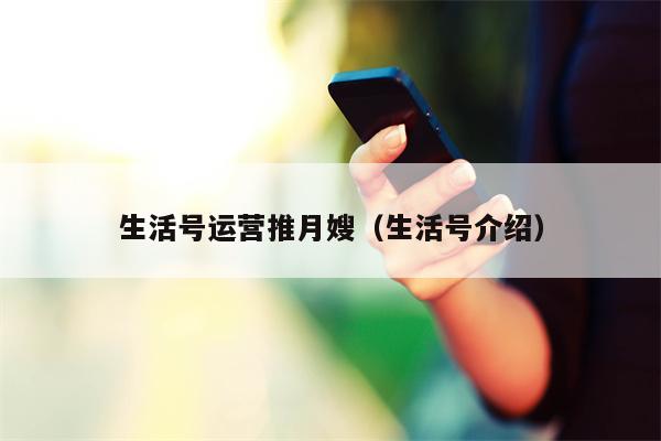 生活号运营推月嫂（生活号介绍）