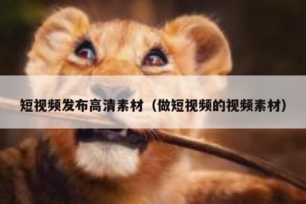 短视频发布高清素材（做短视频的视频素材）