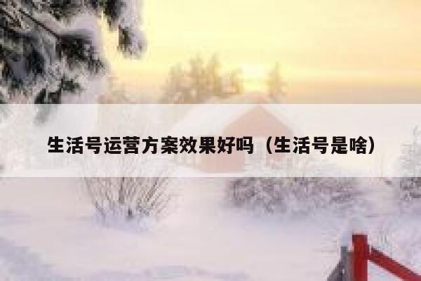生活号运营方案效果好吗（生活号是啥）